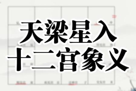 天粱紫薇斗数