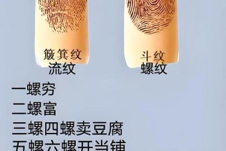 手指上的斗和簸箕代表什么 十个簸箕 簸箕和斗算命