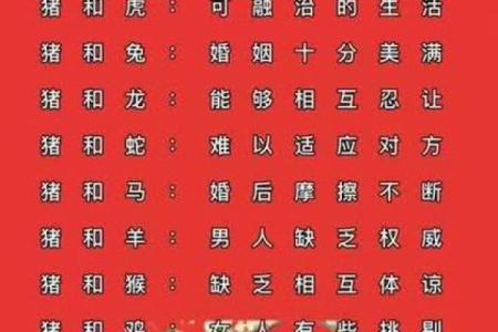 猪跟什么生肖配对最好 生肖猪最佳配对