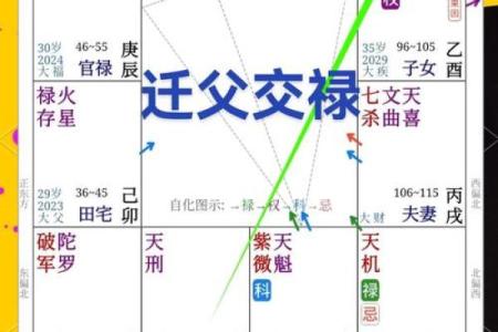紫微斗数诸星落诸宫之：天府星官禄宫详解