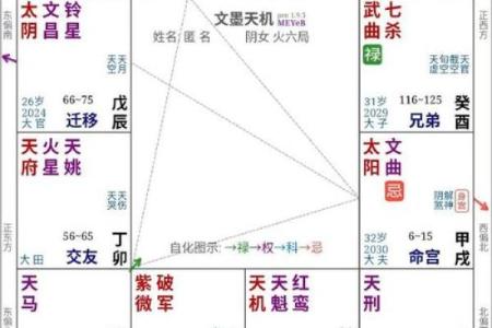 紫薇斗数小流连