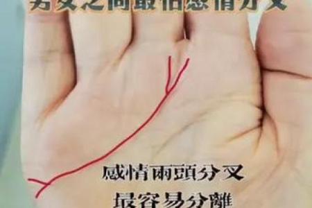 男士手相算命图解法 男人感情线的末端分叉异性缘好