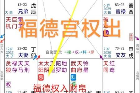 紫微排盘,科星逢破格命格详解