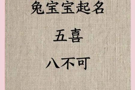 如何给9月份出生的属兔男孩取名字姓名