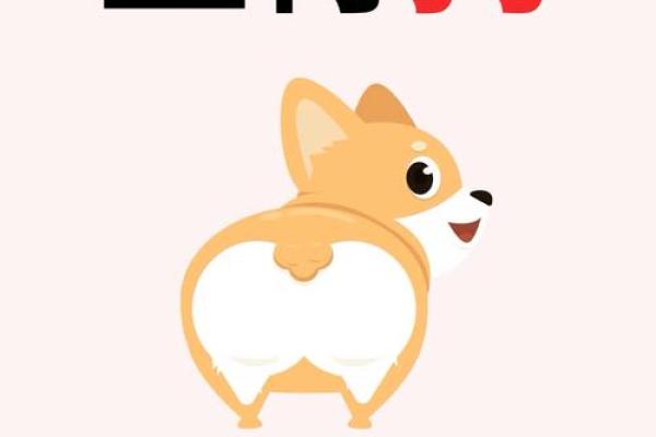 属狗在猪年财神在哪个方向