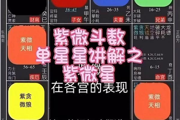 108紫微斗数 紫薇斗数108星详解？