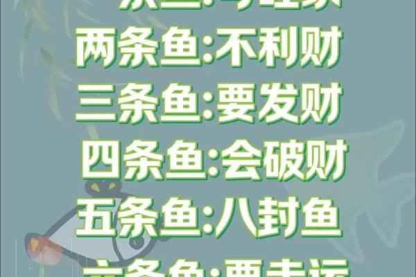 仓房养鱼风水好吗