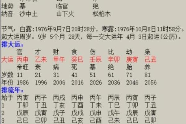 【个人八字分析】详解八字，揭示命运轨迹
