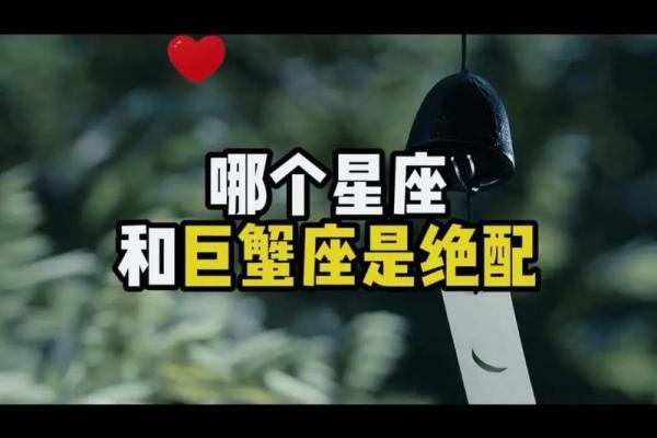 巨蟹前面一个星座