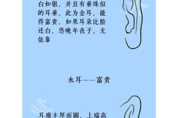 耳相算命图解，如何从耳相看人的命运