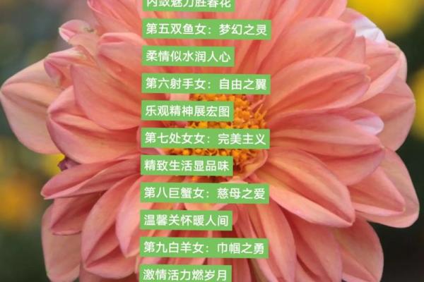 古典气质优雅的星座有哪些