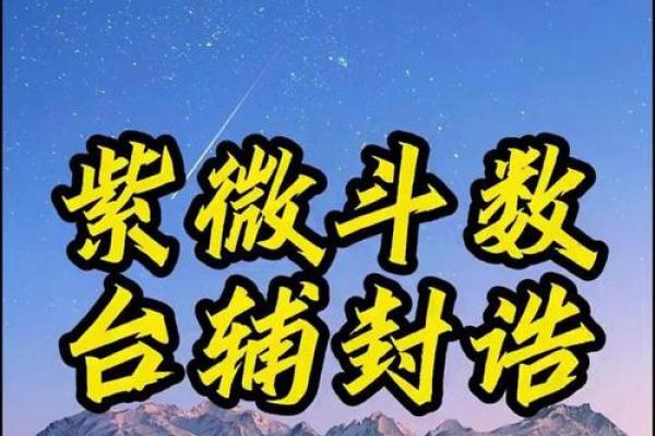 封诰紫薇斗数