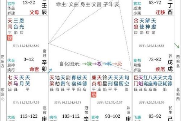 紫薇斗数死绝都有