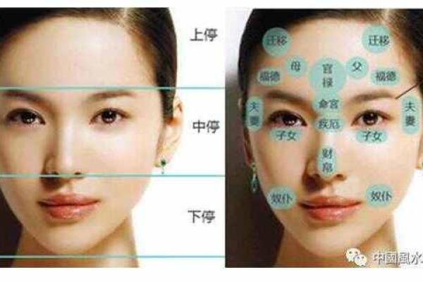 面相算命图解十二宫之：命宫