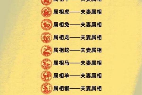 鼠和什么属相配对幸福