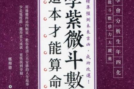 紫薇斗数测国运