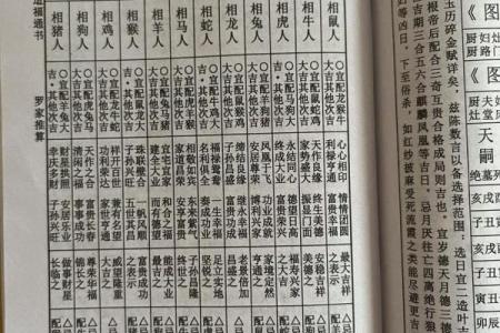 男生肖蛇配对，这几点你需要知道！