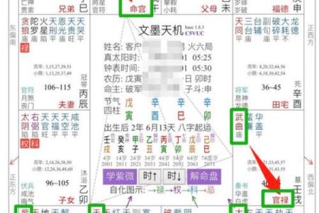 紫薇斗数看事业起色