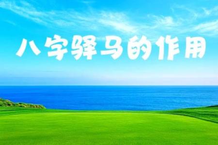 八字看迁动的技巧，驿马解析！