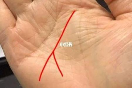 算命的人说你有色心