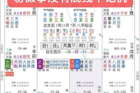 紫微斗数紫薇性格