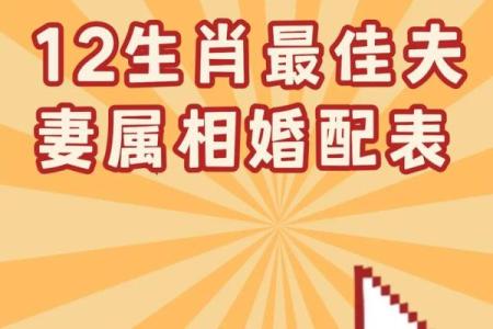 12生肖男女最佳配对 哪些生肖男女最适合搭配成为最佳配对
