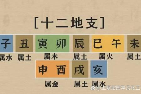 八字无金无土
