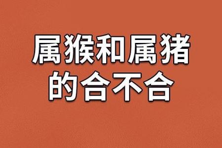 生肖属猴和属猪合吗 相合配对指数查询
