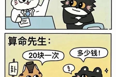算命实验