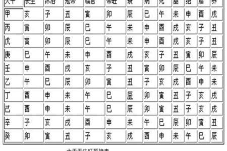 八字天干地支