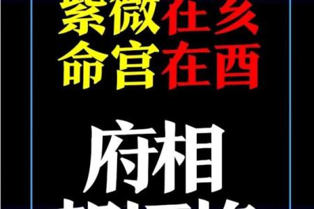 紫薇斗数死绝都有