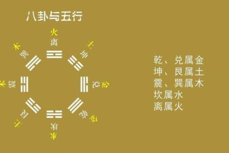 金木水火谁最土，八卦方位属性介绍