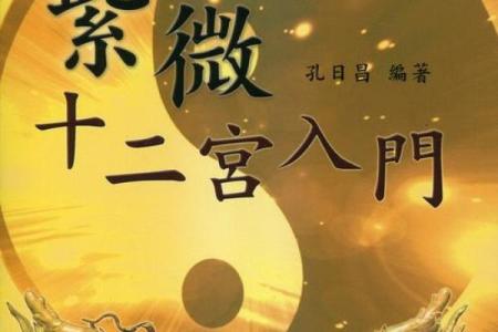 紫薇斗数灾