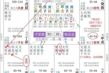 紫薇斗数有钱女命