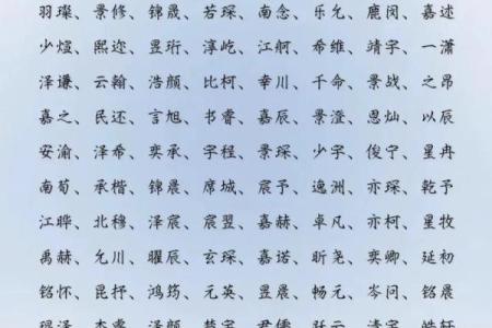2019年6月9号丑时出生的男孩要怎么起名字姓名
