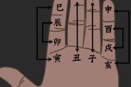 特别八字