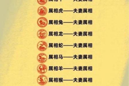 鼠和什么属相配对幸福