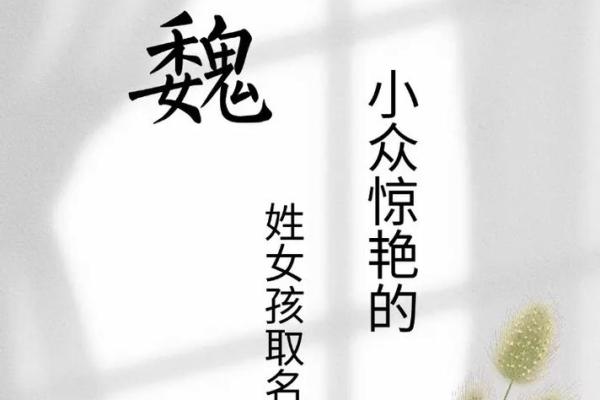 魏姓女孩生辰八字起名字  生辰八字起名免费网站