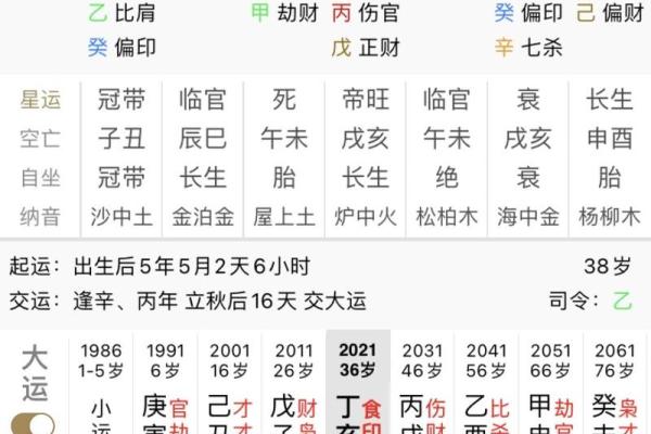 八字排盘详解破解版