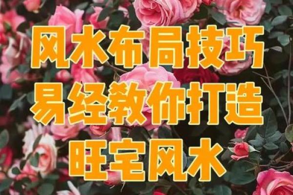 如何优化风水的布局，催旺好运