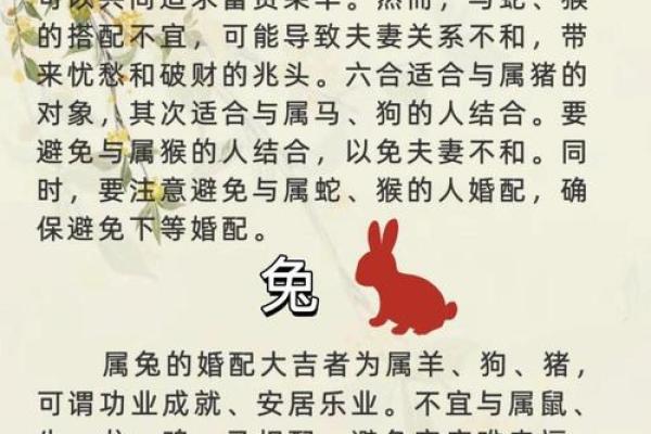 属马和什么属相最配对 属马和什么属相相冲