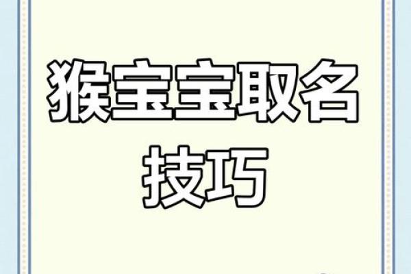 下午三点出生的属猴男孩如何取名，适合什么字姓名