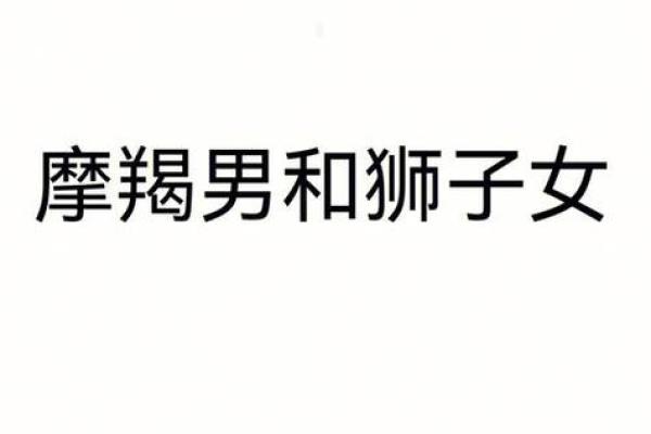 摩羯座应该配哪个星座的人