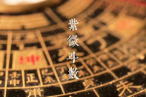 紫薇斗数小土