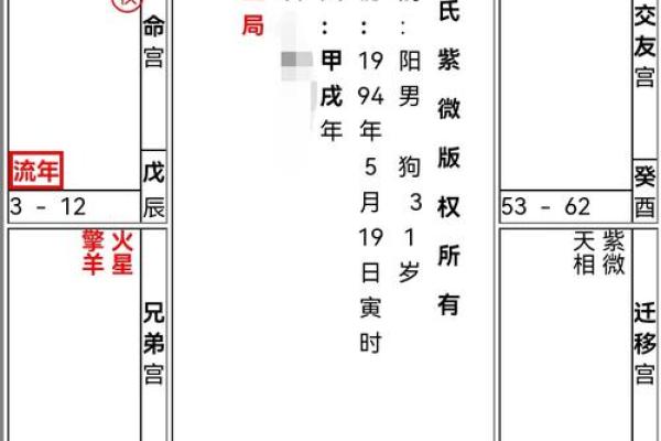 紫薇斗数排版