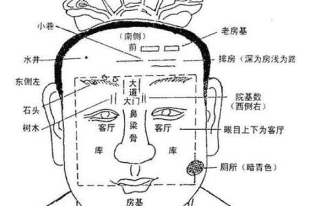 面相风水下垂眼的人命运好不好