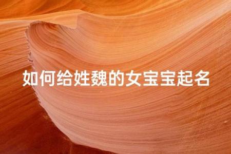 魏姓女孩生辰八字起名字  生辰八字起名免费网站