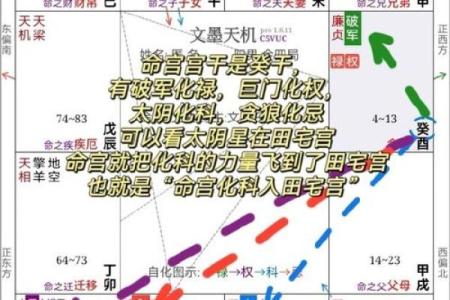 紫微斗数之四化论断法详释：　宫位太极变换