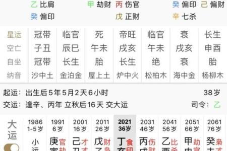 八字排盘详解破解版