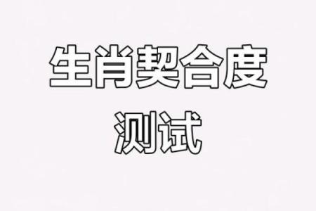 生肖虎配对